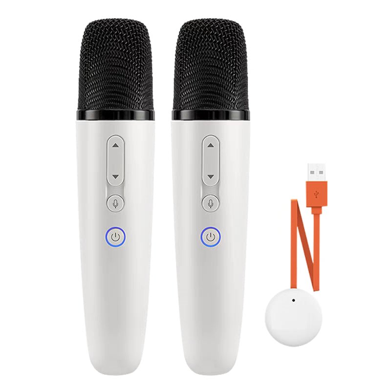 Wireless Microphone for BYD - Image 2